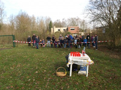 Foto's paaseieren zoeken